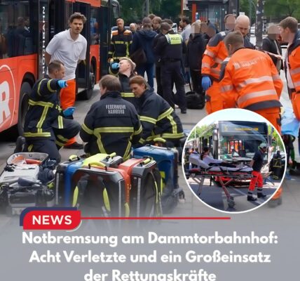 Notbremsung am Dammtorbahnhof: Acht Verletzte und ein Großeinsatz der Rettungskräfte