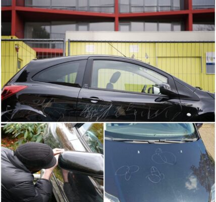 Man bekrast 87 auto’s in anderhalf uur en krijgt tien maanden celstraf: Harderwijk in shock