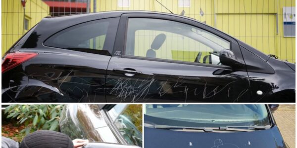 Man bekrast 87 auto’s in anderhalf uur en krijgt tien maanden celstraf: Harderwijk in shock