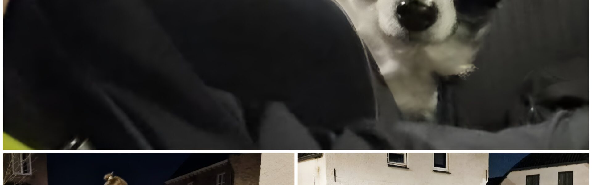 Kaatsheuvel in shock: lichaam van man al langere tijd in huis naast zwaar vermagerde hond gevonden – een duistere situatie die vragen oproept