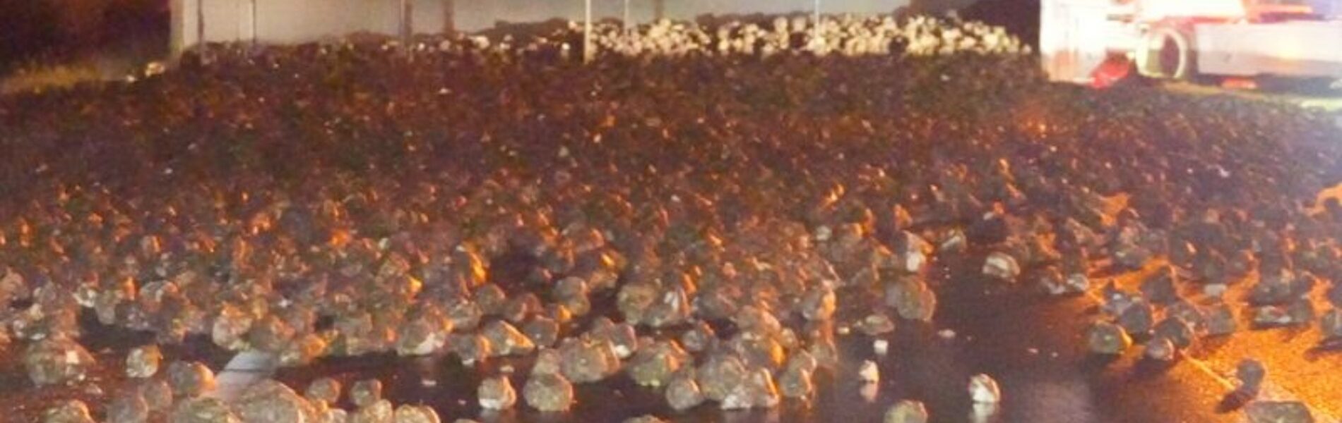 A28 afgesloten na gekantelde vrachtwagen met suikerbieten – hinder tot na de spits