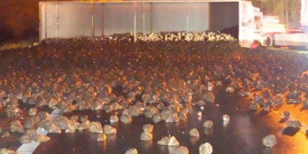 A28 afgesloten na gekantelde vrachtwagen met suikerbieten – hinder tot na de spits