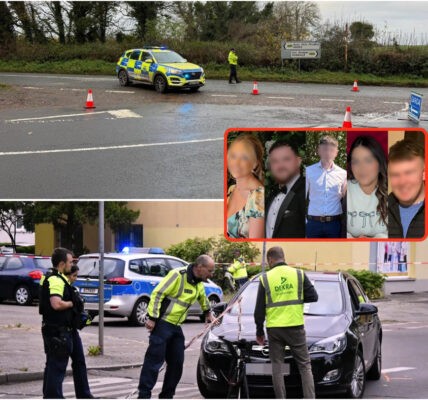 Vijf Jongeren Onder de 25 Omgekomen bij Nachtelijke Rampschok nabij Dundalk