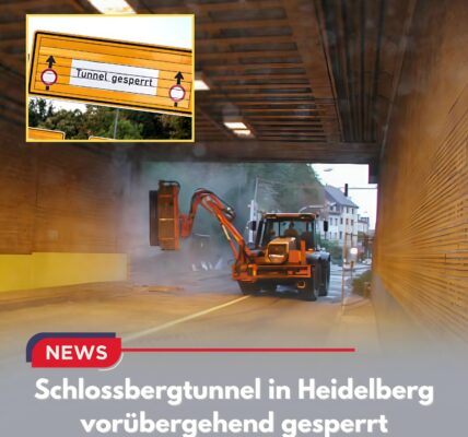 Schlossbergtunnel in Heidelberg vorübergehend gesperrt – massive Auswirkungen auf Autofahrer und Busverkehr