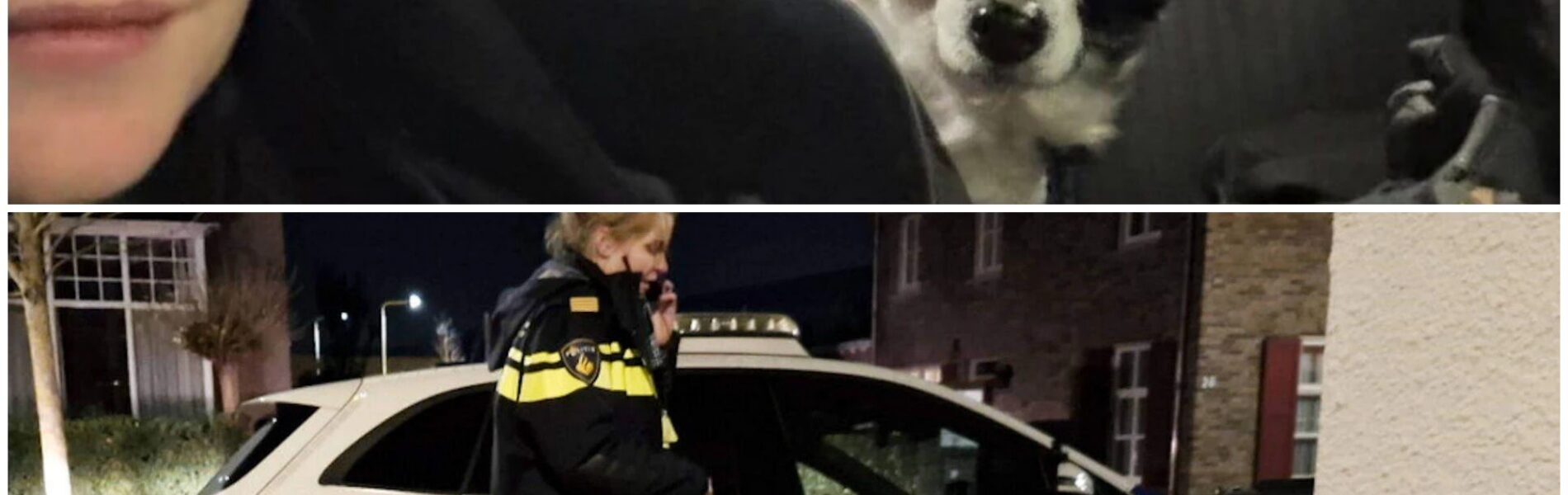 Politie treft overleden man aan in huis Kaatsheuvel: trouwe hond waakt over overleden baasje