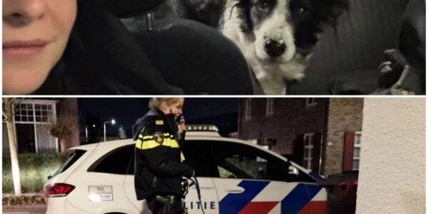 Politie treft overleden man aan in huis Kaatsheuvel: trouwe hond waakt over overleden baasje