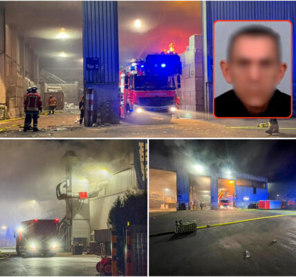 Feuerdrama im Rheinhafen Karlsruhe: Polizei fasst Brandstifter – Motiv sorgt fur Empörung