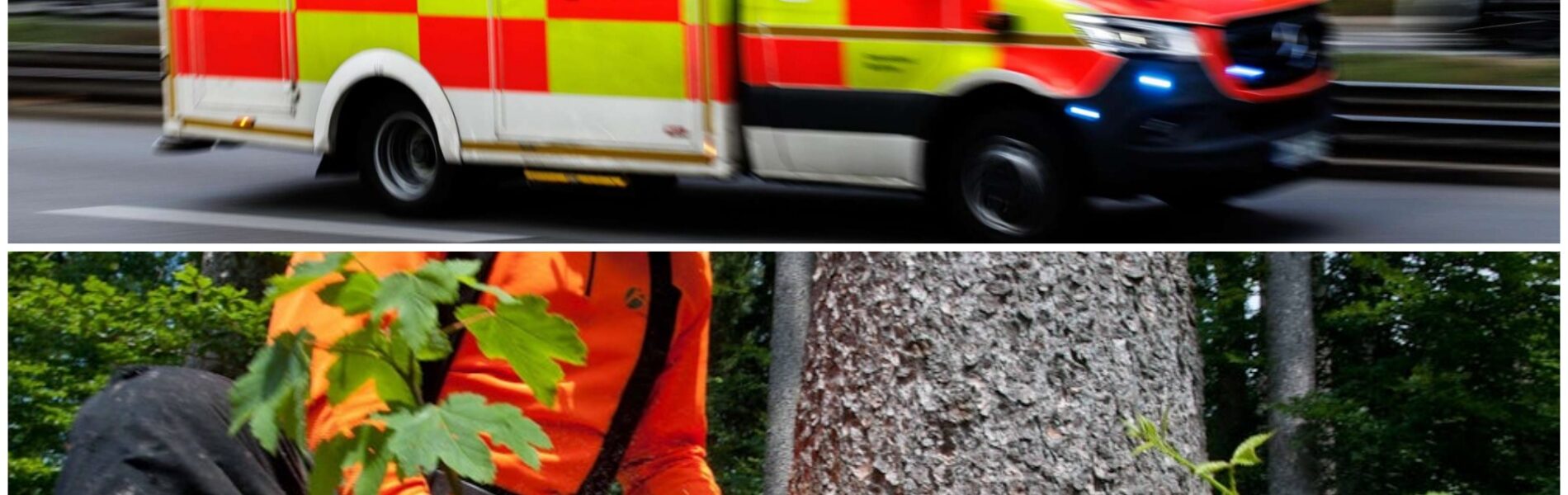 Seeshaupt BY – 23-Jähriger bei Waldarbeiten von Baum erschlagena