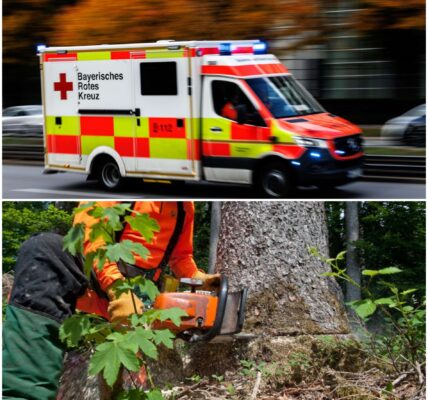 Seeshaupt BY – 23-Jähriger bei Waldarbeiten von Baum erschlagena