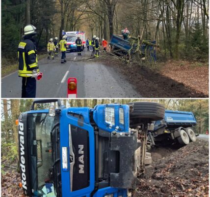 Baum gefällt und Mineralgemisch verteilt: Lastwagen-Gespannt kippt um und landet im Wald