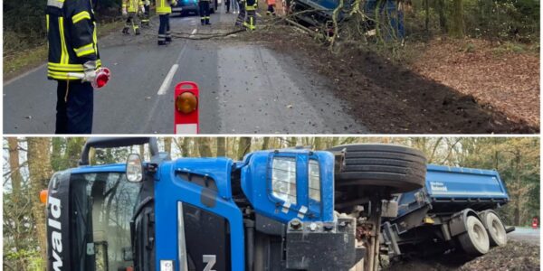 Baum gefällt und Mineralgemisch verteilt: Lastwagen-Gespannt kippt um und landet im Wald