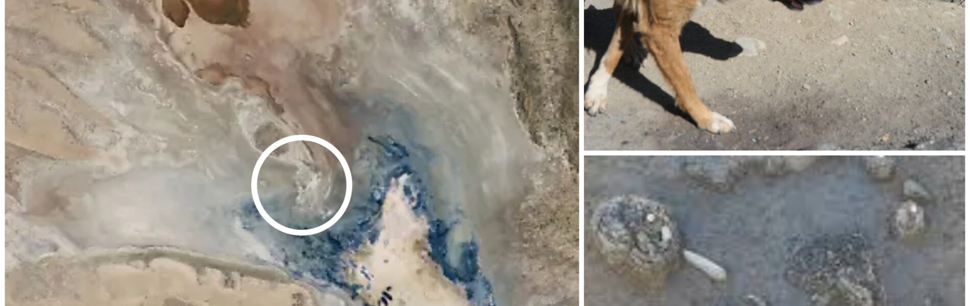 Nach 15 Jahren taucht ein erschutterndes Geheimnis auf: Trockener Poopó-See in Bolivien gibt Auto mit menschlichem Skelett frei – Identität als vermisste Frau „Pink“ bestätigt