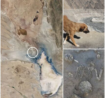 Nach 15 Jahren taucht ein erschutterndes Geheimnis auf: Trockener Poopó-See in Bolivien gibt Auto mit menschlichem Skelett frei – Identität als vermisste Frau „Pink“ bestätigt