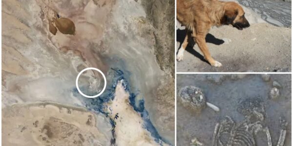 Nach 15 Jahren taucht ein erschutterndes Geheimnis auf: Trockener Poopó-See in Bolivien gibt Auto mit menschlichem Skelett frei – Identität als vermisste Frau „Pink“ bestätigt
