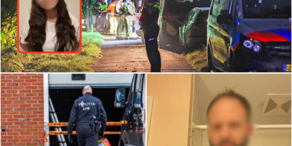 Een 13-jarig meisje uit Leiden werd na twee dagen aangetroffen in gescheurde kleding en in paniek toen ze thuiskwam. Nadat haar familie haar had bezocht en het incident bij de politie had gemeld, ontdekten ze dat ze seksueel was misbruikt door een 36-jarige man in een verlaten loods