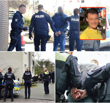 Notfallpolizei nimmt Mann wegen Bedrohung fest. Ältere Frau auf Motorrad in München mit Waffe angegriffen: „Ich habe Ihren Hund erschossen.“