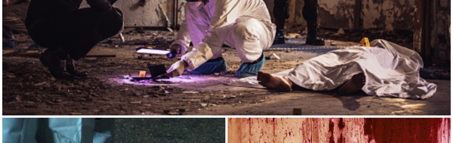 Dodelijke vechtpartij in verlaten loods Hamburg: angstaanjagende bekentenis van verdachte doet recherche huiveren