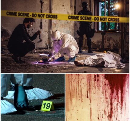 Dodelijke vechtpartij in verlaten loods Hamburg: angstaanjagende bekentenis van verdachte doet recherche huiveren