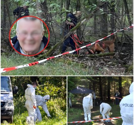 DRINGENDE FAHNDUNG: 62-Jähriger aus Seevetal Spurlos Verschwunden – Akute Medizinische Gefahr Befürchtet