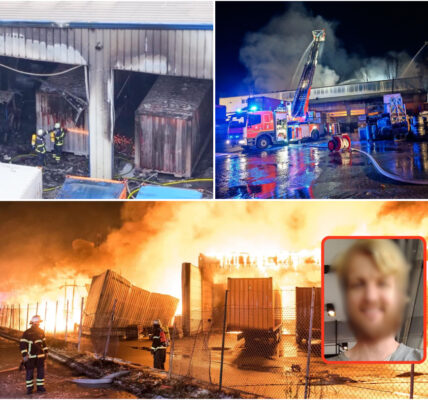 Feuer-Inferno in Hamburg: Lagerhalle mit Gefahrstoffen explodiert – 24-Jähriger als mutmaßlicher Brandstifter festgenommen