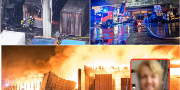 Feuer-Inferno in Hamburg: Lagerhalle mit Gefahrstoffen explodiert – 24-Jähriger als mutmaßlicher Brandstifter festgenommen
