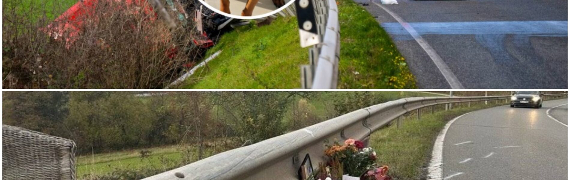 Ganze Familie tot bei Unfall – Hund Balou überlebt rätselhaft, Schicksal bleibt ungewiss!