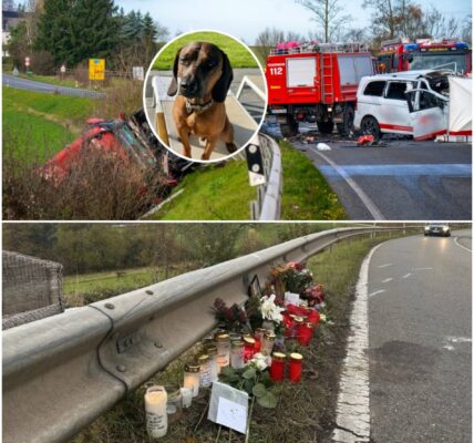 Ganze Familie tot bei Unfall – Hund Balou überlebt rätselhaft, Schicksal bleibt ungewiss!