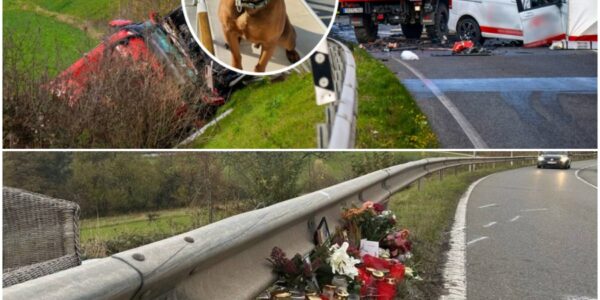 Ganze Familie tot bei Unfall – Hund Balou überlebt rätselhaft, Schicksal bleibt ungewiss!