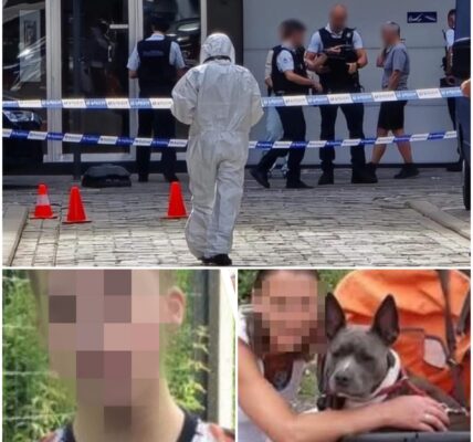 Twee maanden na moord op Theresa in Oostende zit verdachte eindelijk in Belgische cel: “Heeft al bekend dat hij het schot loste”