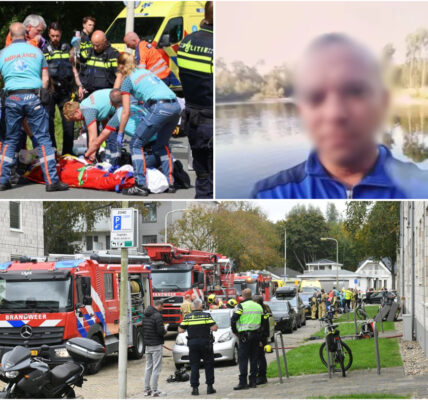 Die Alphen aan den Rijn-misterie: Die identiteit van die man wat dood op 'n verlate tennisbaan gevind is, is bevestig.