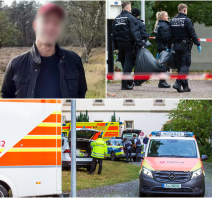 Mysteriöser Fund in Frankfurt: Mann tot im Garten aufgefunden – Polizei vermutet Sturz aus dem zweiten Stock