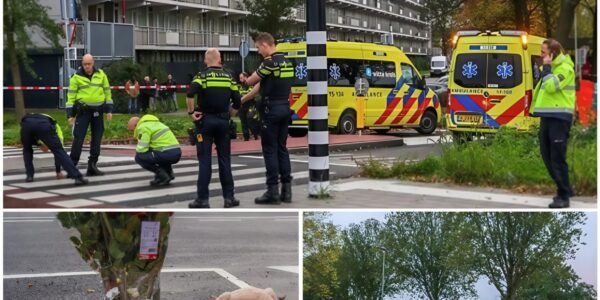 Milo (14) is op weg naar school als hij wordt aangereden en overlijdt