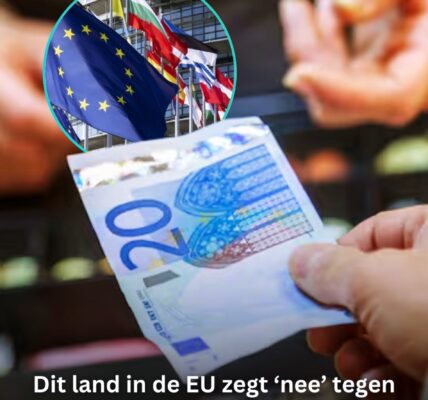 Terwijl Europa digitaliseert, kiest dit land bewust voor contant geld