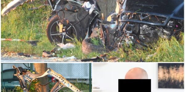 21-Jähriger stirbt bei schwerem Unfall auf der B 65 – Tragödie zwischen Evern und Rethmar erschuttert die Region