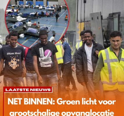 Groen licht voor grootschalige opvanglocatie asielzoekers in deze grote stad