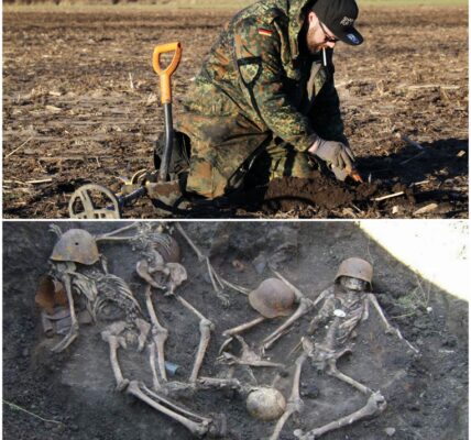 Spektakulärer Fund im Wald: Hobby-Sondengänger entdeckt Relikte deutscher Soldaten – eine Reise 80 Jahre zurück in die Vergangenheit