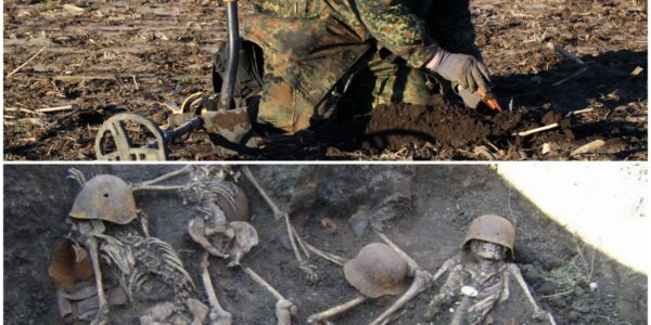 Spektakulärer Fund im Wald: Hobby-Sondengänger entdeckt Relikte deutscher Soldaten – eine Reise 80 Jahre zurück in die Vergangenheit