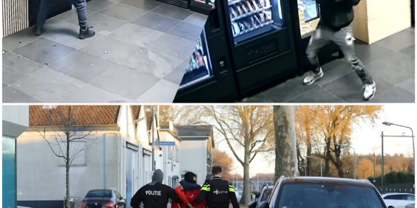 VERNIEZELING, GEEN DIEFSTAL: Herhaalde Hameraanvallen Kosten Winkel Dulicious Minstens 1.500 Euro En Dreigen Met Sluiting