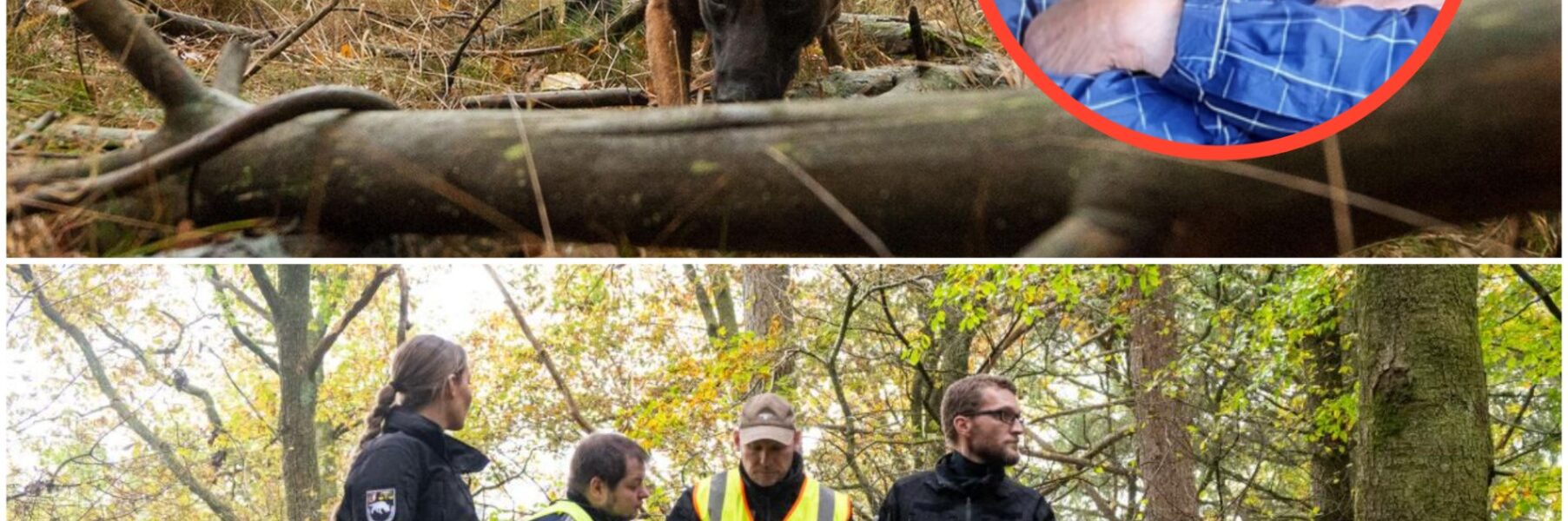 💔🆘 Gustrow in Angst: 85-jähriger Klaus-Jurgen spurlos verschwunden – Familie verzweifelt, Polizei sucht fieberhaft!