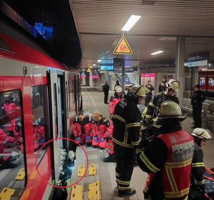 Mann stürzt vor einen einfahrenden Zug: Der Mann hatte einen hohen Blutalkoholgehalt.