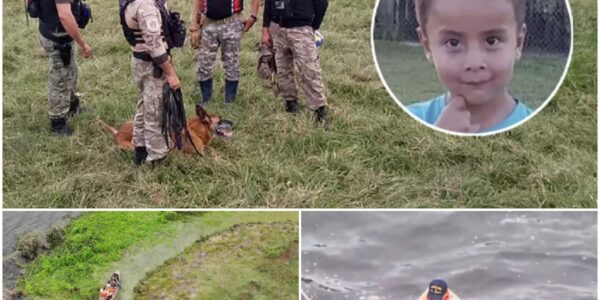 „Erneute Suche, steigende Hoffnung – doch die vierte Lagune birgt ein düsteres Geheimnis, das niemand erwartet hat.“