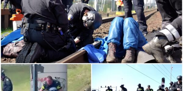 Politie zaagt klimaatactivisten los van Rotterdams spoor: goederenverkeer urenlang volledig stilgelegd