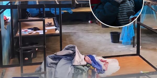 Massenentführung in Nigeria: Über 300 Schülerinnen und Schüler aus katholischer Schule in Niger entführt