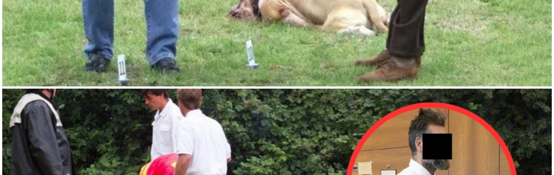 Schock in Gropiusstadt: Betrunkener quält Bulldog – Tod direkt vor Polizisten! Tragödie, Schmerz, Unfassbar!