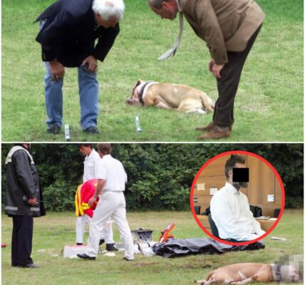 Schock in Gropiusstadt: Betrunkener quält Bulldog – Tod direkt vor Polizisten! Tragödie, Schmerz, Unfassbar!