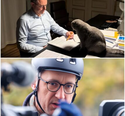 CRUCIALE MARATHONVERGADERING: Premier Bart De Wever Wil Mogelijk De Nacht Doordoen Om Akkoord Te Vinden Over 10 Miljard Euro Aan Besparingen!