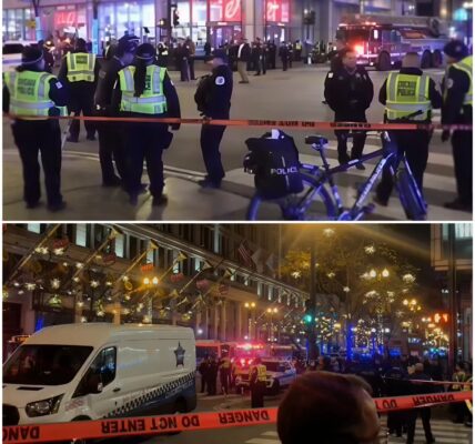 Teenager getötet, acht weitere bei Schießerei in Chicago nahe Baumbeleuchtung verletzt