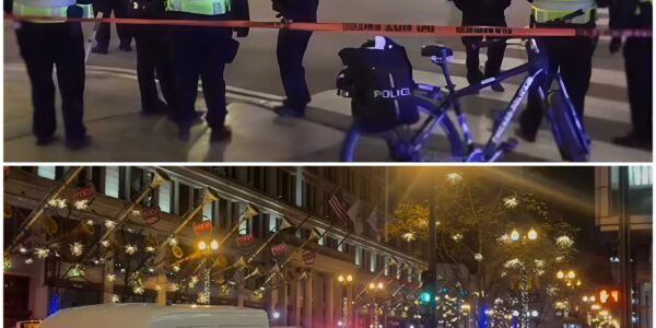 Teenager getötet, acht weitere bei Schießerei in Chicago nahe Baumbeleuchtung verletzt