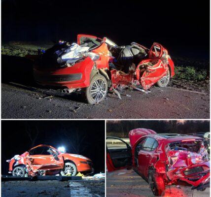 Überholmanöver endet tödlich: 17-Jähriger stirbt bei schwerem Verkehrsunfall in Westerstede – drei weitere Jugendliche schwer verletzt