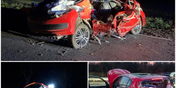 Überholmanöver endet tödlich: 17-Jähriger stirbt bei schwerem Verkehrsunfall in Westerstede – drei weitere Jugendliche schwer verletzt